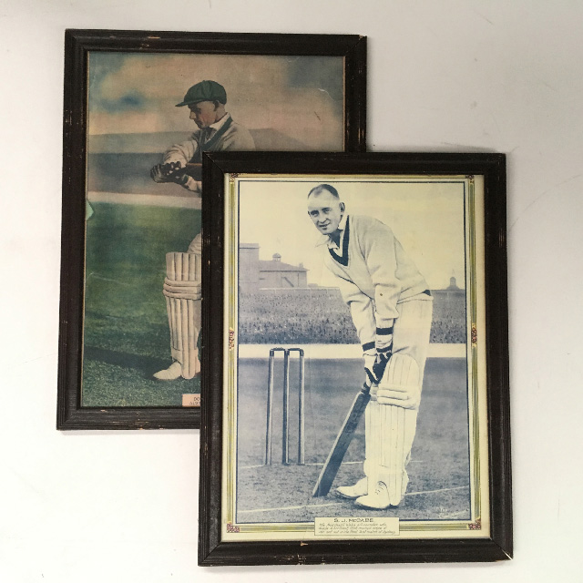 ARTWORK, Sport or Clubroom - Cricket - Don Bradman